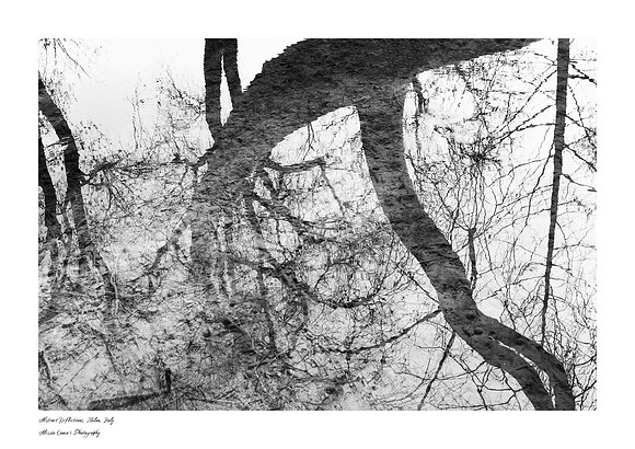 Abstract_Reflections_ZENFOLIO_A3