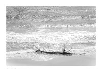 Artistic black-and-white photography: a smooth branch at the bottom occupies one-third of the composition on the sand, while the top two-thirds capture the motion of the sea surf.