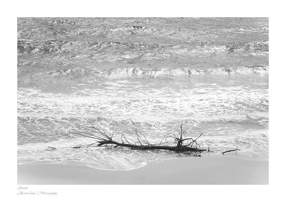 Artistic black-and-white photography: a smooth branch at the bottom occupies one-third of the composition on the sand, while the top two-thirds capture the motion of the sea surf.